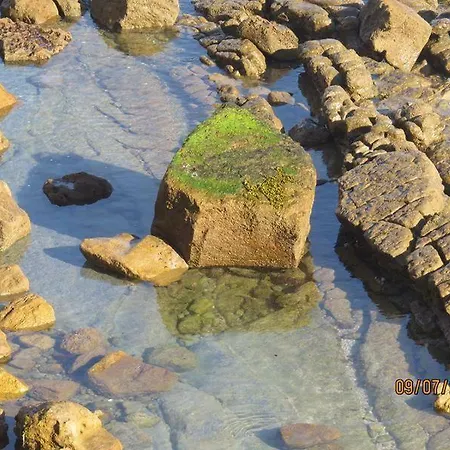 Estrela Do Mar - 100m Da