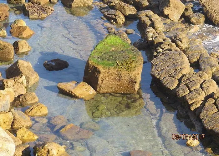 Estrela Do Mar - 100m Da